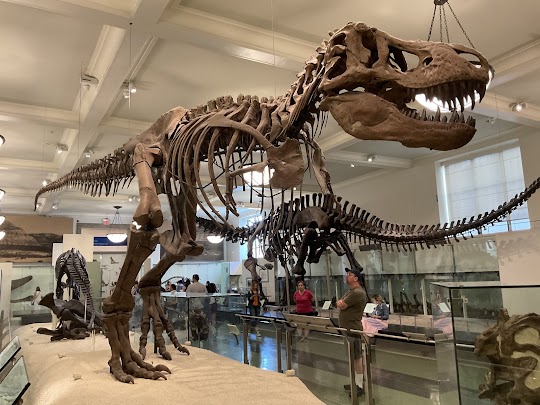 Museum of Natural History