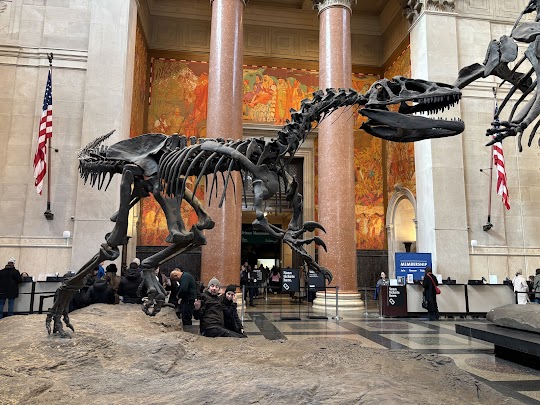 Museum of Natural History exhibits
