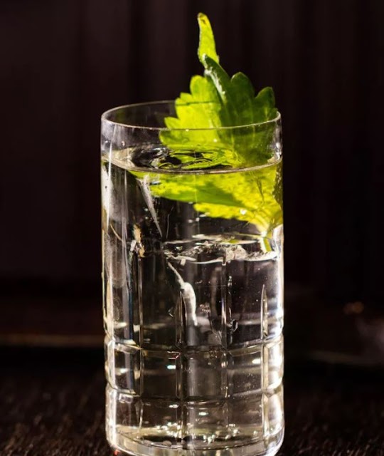 George Washington Bar interior